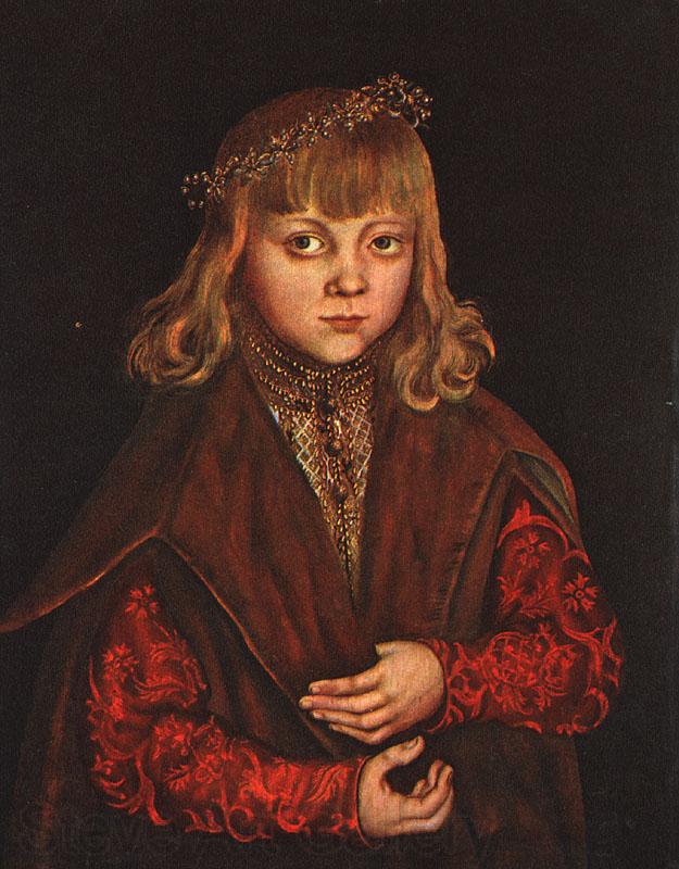 CRANACH, Lucas the Elder A Prince of Saxony dfg Spain oil painting art